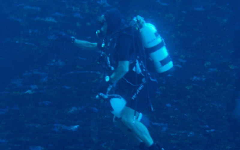 Diving Center